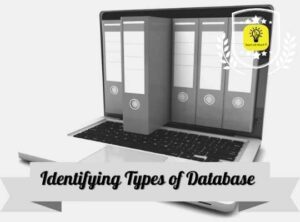 Identifying Types of Database
