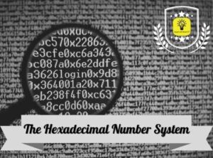 The Hexadecimal Number System