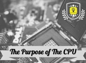 The Purpose of The CPU