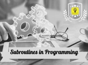 Using Subroutines in Programming